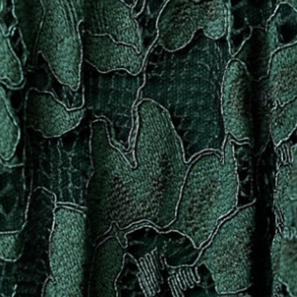 BHLDN Perri Lace V-neck Dress in Cactus size 16 - Picture 4 of 7